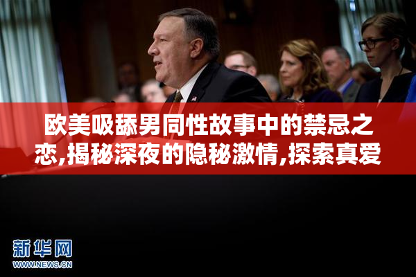 欧美吸舔男同性故事中的禁忌之恋,揭秘深夜的隐秘激情,探索真爱的
