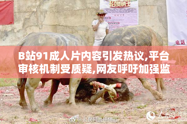 B站91成人片内容引发热议,平台审核机制受质疑,网友呼吁加强监管