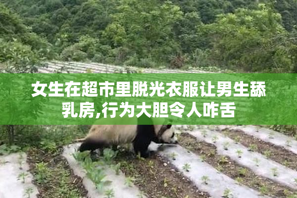 女生在超市里脱光衣服让男生舔乳房,行为大胆令人咋舌