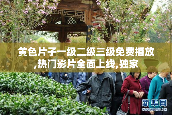 黄色片子一级二级三级免费播放,热门影片全面上线,独家