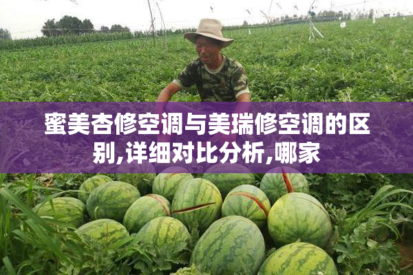 蜜美杏修空调与美瑞修空调的区别,详细对比分析,哪家