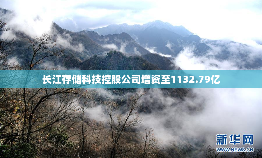 长江存储科技控股公司增资至1132.79亿