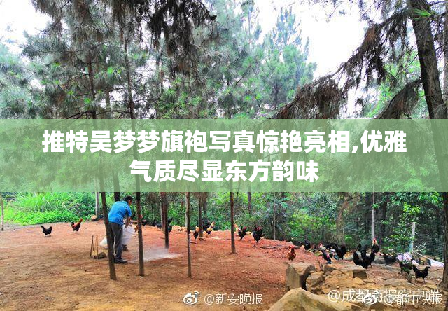 推特吴梦梦旗袍写真惊艳亮相,优雅气质尽显东方韵味