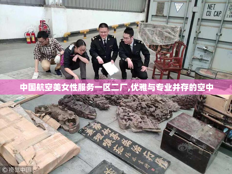 中国航空美女性服务一区二厂,优雅与专业并存的空中