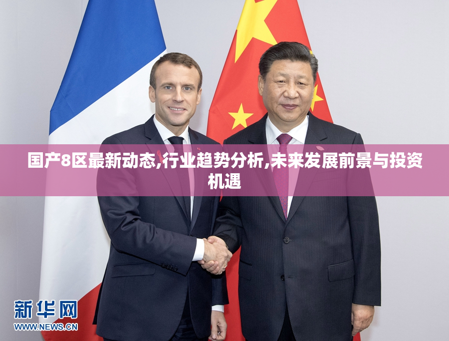 国产8区最新动态,行业趋势分析,未来发展前景与投资机遇