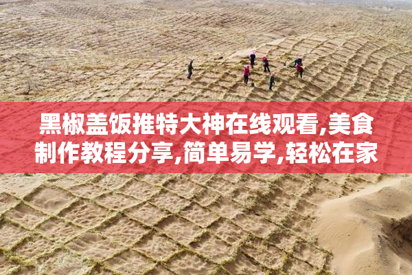黑椒盖饭推特大神在线观看,美食制作教程分享,简单易学,轻松在家