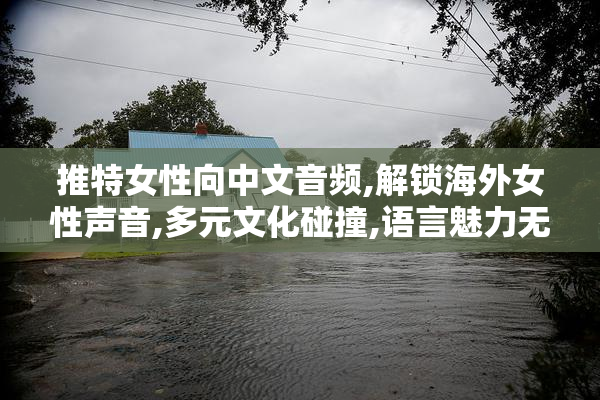 推特女性向中文音频,解锁海外女性声音,多元文化碰撞,语言魅力无限