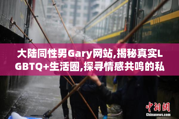 大陆同性男Gary网站,揭秘真实LGBTQ+生活圈,探寻情感共鸣的私密