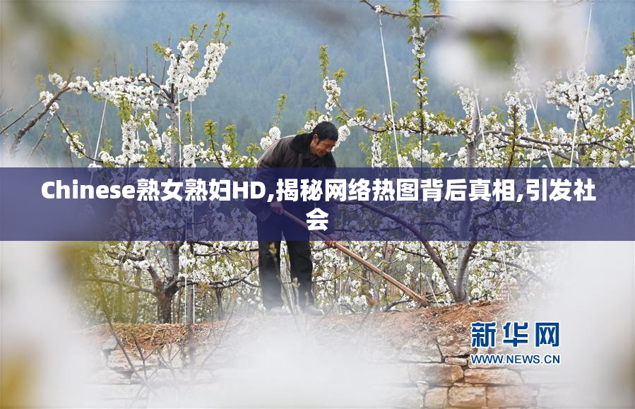 Chinese熟女熟妇HD,揭秘网络热图背后真相,引发社会