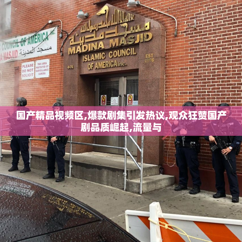 国产精品视频区,爆款剧集引发热议,观众狂赞国产剧品质崛起,流量与
