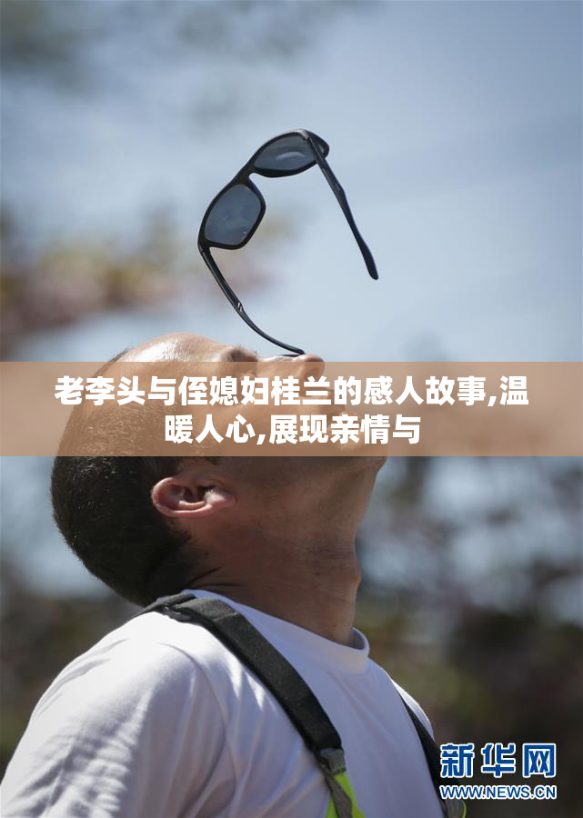 老李头与侄媳妇桂兰的感人故事,温暖人心,展现亲情与