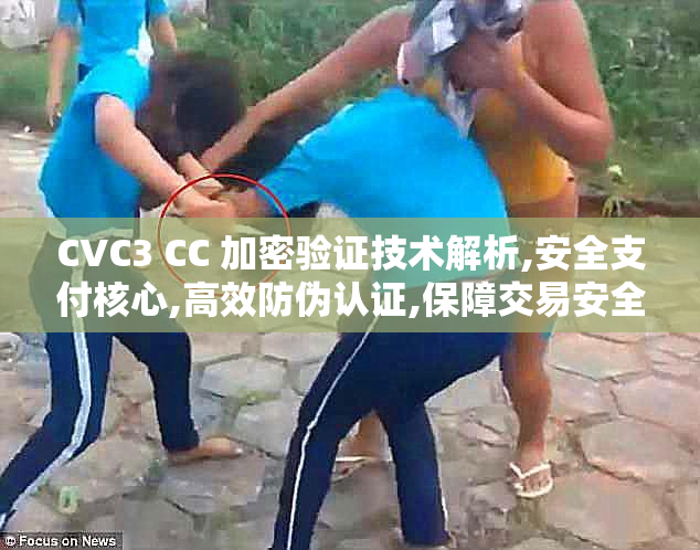 CVC3 CC 加密验证技术解析,安全支付核心,高效防伪认证,保障交易安全
