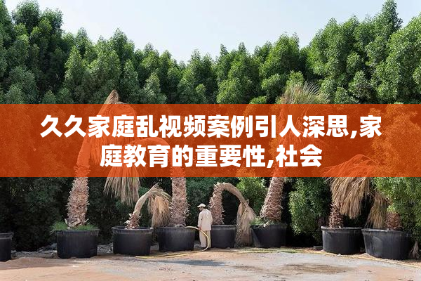 久久家庭乱视频案例引人深思,家庭教育的重要性,社会