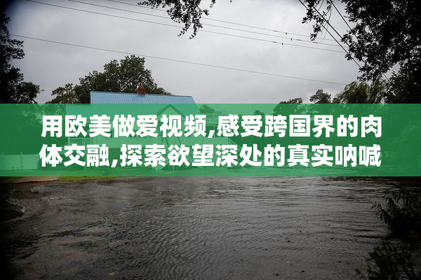 用欧美做爱视频,感受跨国界的肉体交融,探索欲望深处的真实呐喊