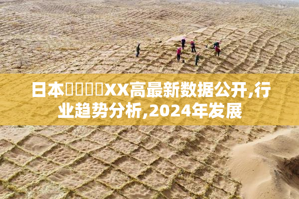 日本⭕⭕⭕⭕XX高最新数据公开,行业趋势分析,2024年发展