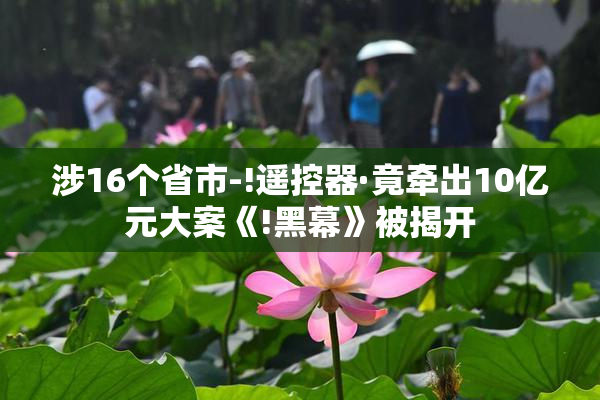涉16个省市-!遥控器·竟牵出10亿元大案《!黑幕》被揭开
