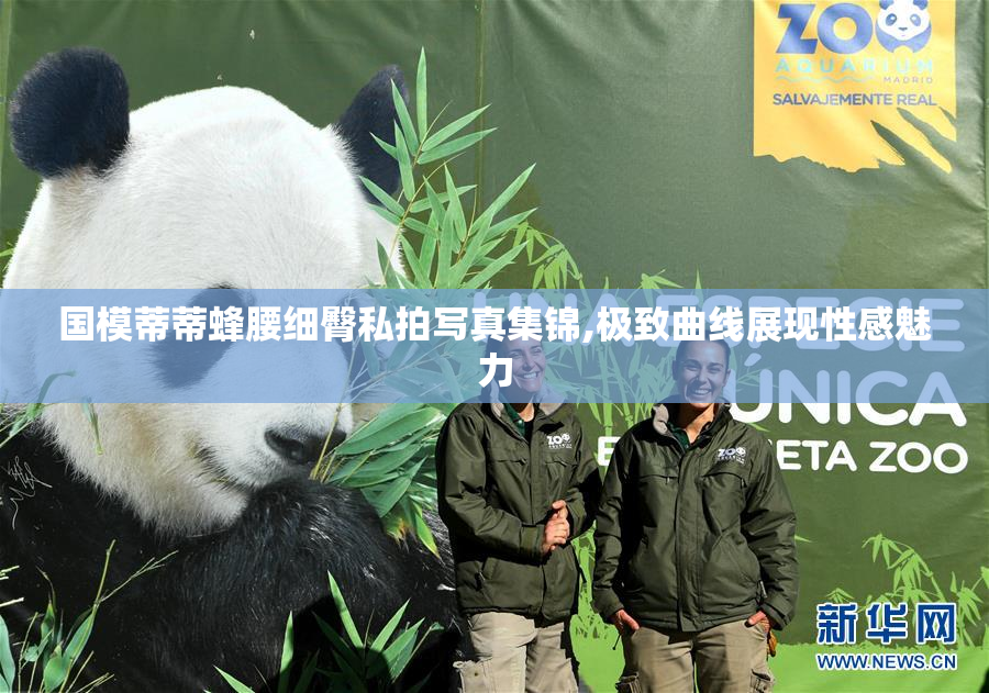 国模蒂蒂蜂腰细臀私拍写真集锦,极致曲线展现性感魅力