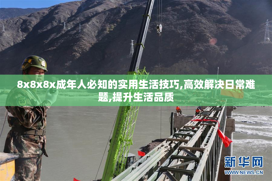 8x8x8x成年人必知的实用生活技巧,高效解决日常难题,提升生活品质