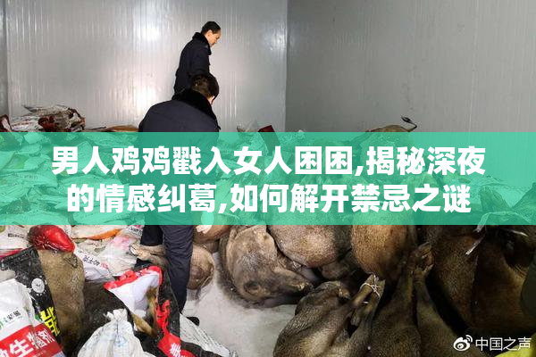 男人鸡鸡戳入女人困困,揭秘深夜的情感纠葛,如何解开禁忌之谜