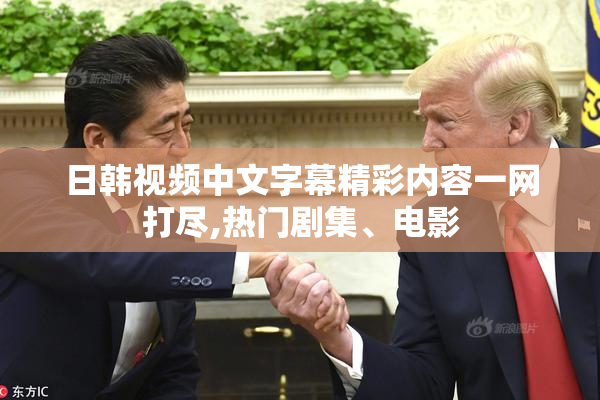 日韩视频中文字幕精彩内容一网打尽,热门剧集、电影