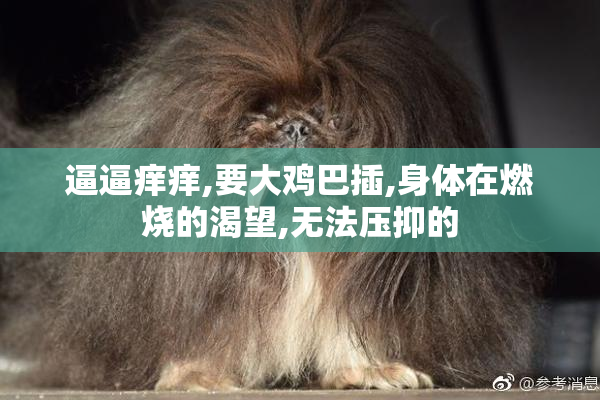 逼逼痒痒,要大鸡巴插,身体在燃烧的渴望,无法压抑的
