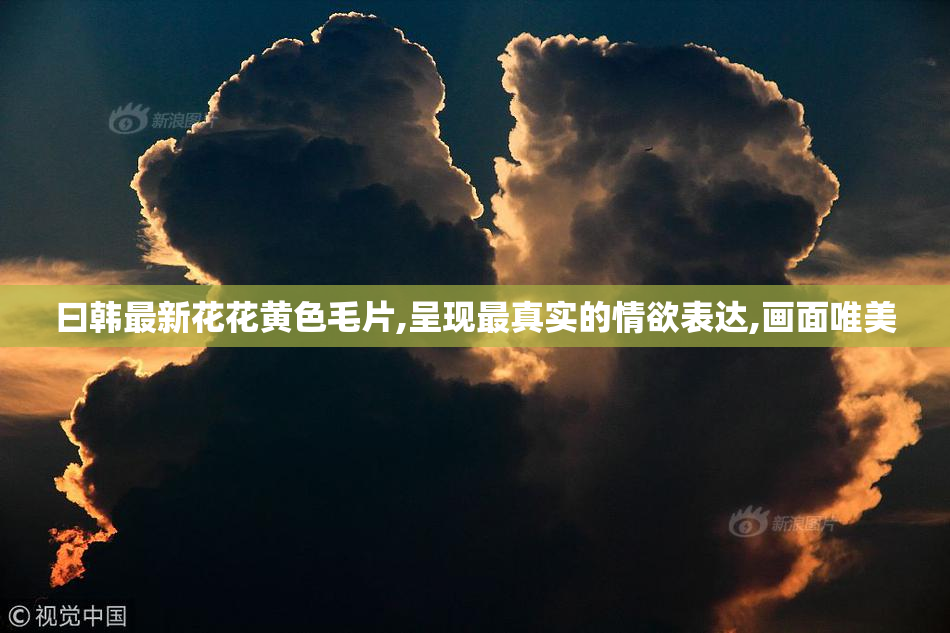 曰韩最新花花黄色毛片,呈现最真实的情欲表达,画面唯美