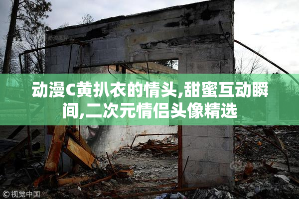 动漫C黄扒衣的情头,甜蜜互动瞬间,二次元情侣头像精选