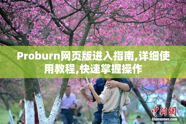 Proburn网页版进入指南,详细使用教程,快速掌握操作