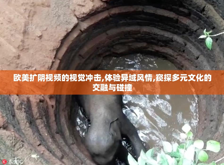 欧美扩阴视频的视觉冲击,体验异域风情,窥探多元文化的交融与碰撞