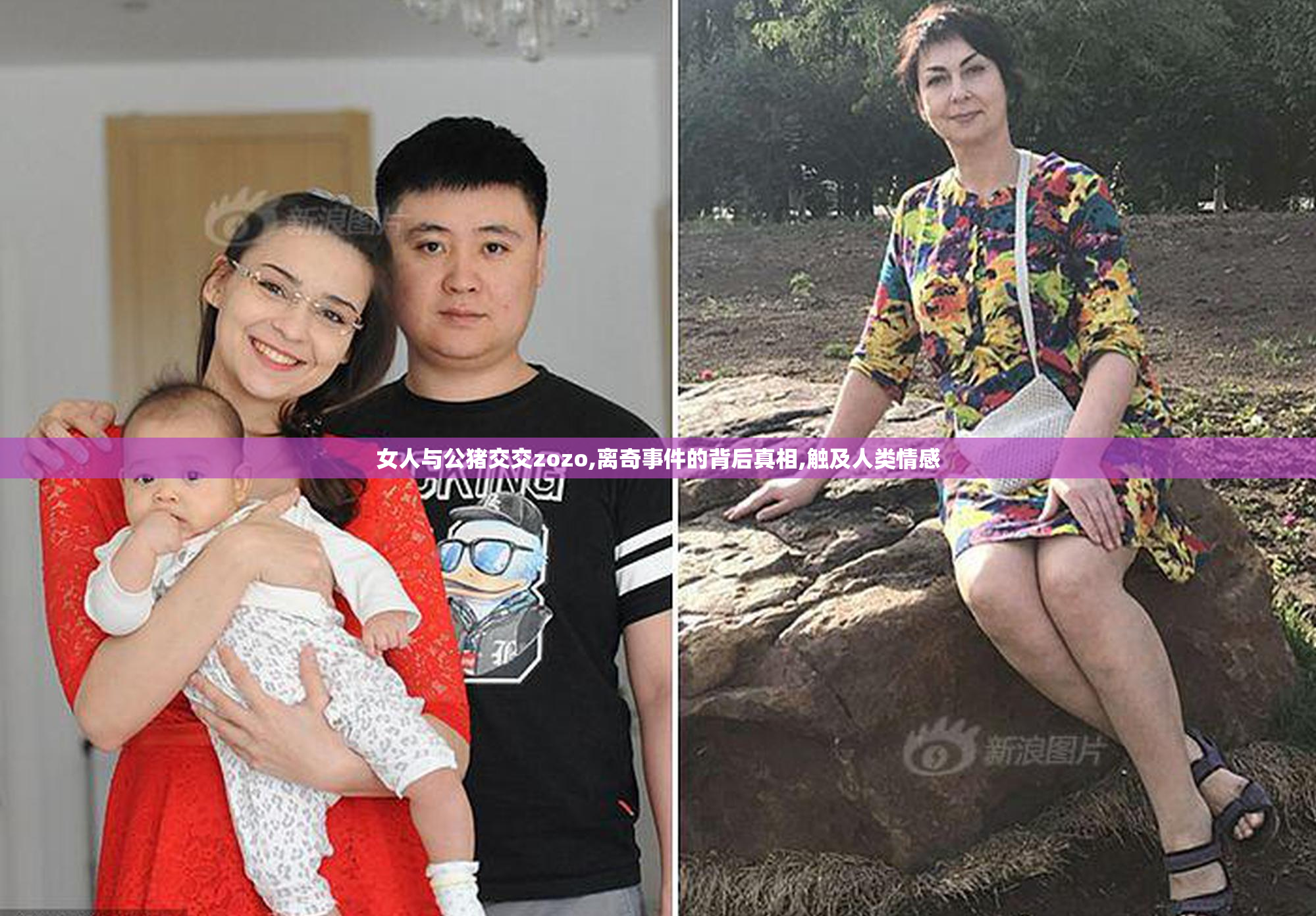 女人与公猪交交zozo,离奇事件的背后真相,触及人类情感
