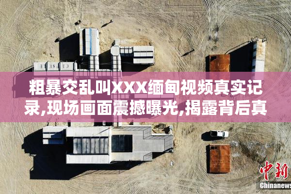 粗暴交乱叫XXX缅甸视频真实记录,现场画面震撼曝光,揭露背后真相与