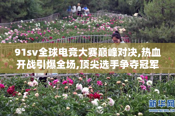 91sv全球电竞大赛巅峰对决,热血开战引爆全场,顶尖选手争夺冠军荣耀