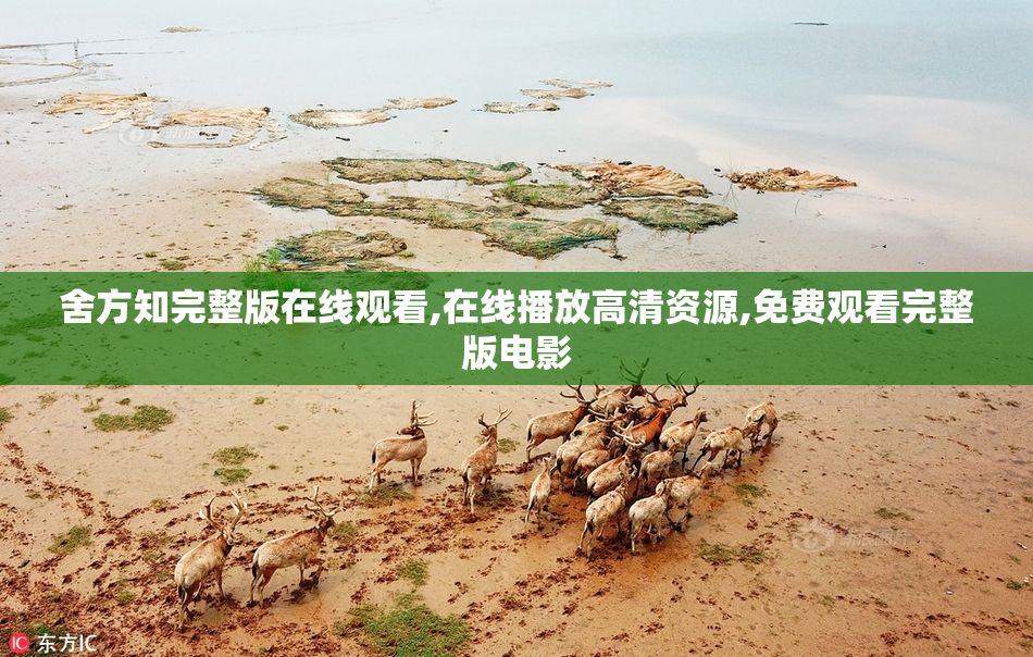 舍方知完整版在线观看,在线播放高清资源,免费观看完整版电影