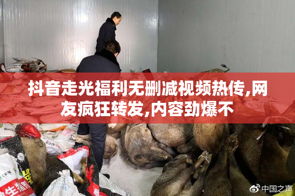 抖音走光福利无删减视频热传,网友疯狂转发,内容劲爆不