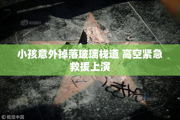 小孩意外掉落玻璃栈道 高空紧急救援上演