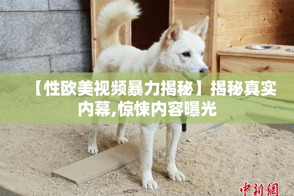 【性欧美视频暴力揭秘】揭秘真实内幕,惊悚内容曝光