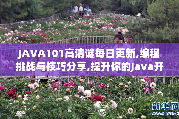 JAVA101高清谜每日更新,编程挑战与技巧分享,提升你的Java开发能力