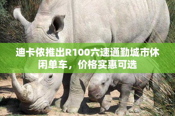 迪卡侬推出R100六速通勤城市休闲单车，价格实惠可选
