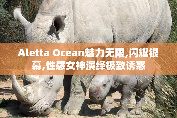 Aletta Ocean魅力无限,闪耀银幕,性感女神演绎极致诱惑