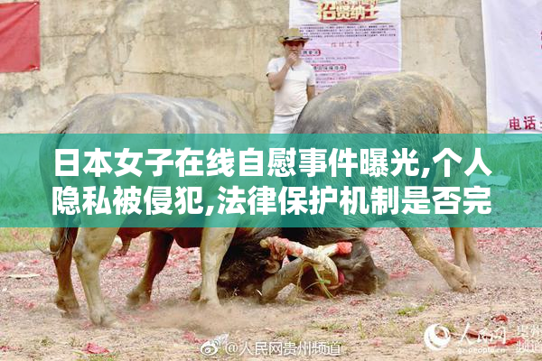 日本女子在线自慰事件曝光,个人隐私被侵犯,法律保护机制是否完善