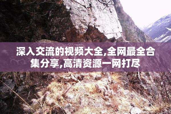 深入交流的视频大全,全网最全合集分享,高清资源一网打尽