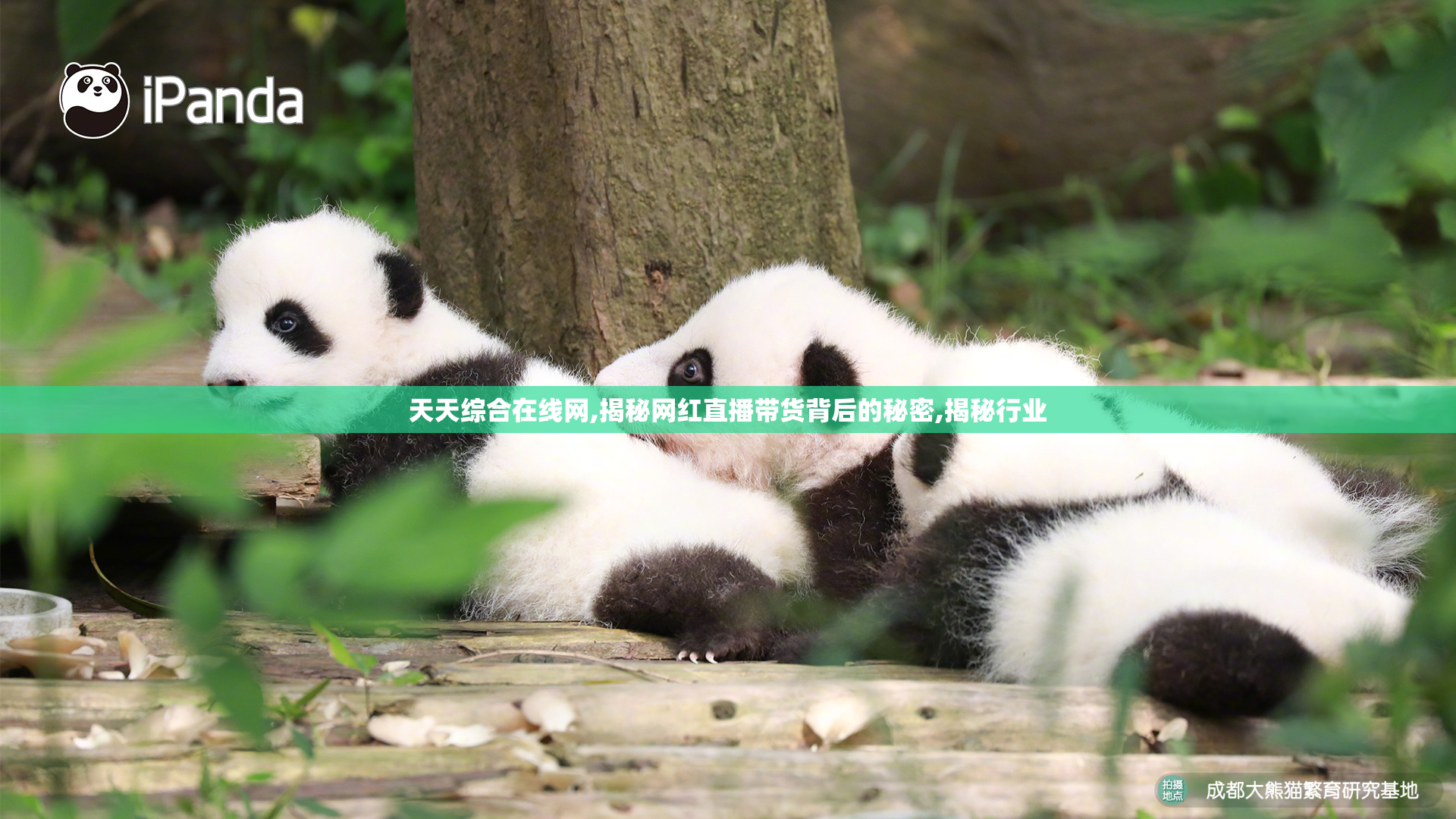 天天综合在线网,揭秘网红直播带货背后的秘密,揭秘行业