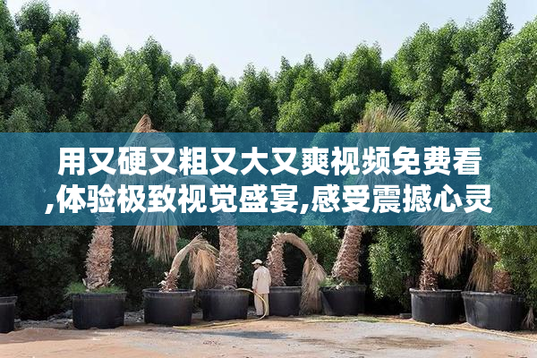 用又硬又粗又大又爽视频免费看,体验极致视觉盛宴,感受震撼心灵的
