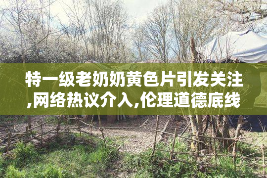 特一级老奶奶黄色片引发关注,网络热议介入,伦理道德底线何在