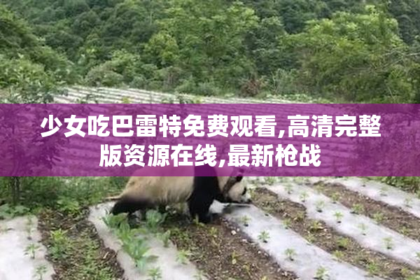 少女吃巴雷特免费观看,高清完整版资源在线,最新枪战