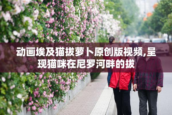 动画埃及猫拔萝卜原创版视频,呈现猫咪在尼罗河畔的拔