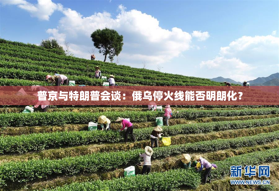 普京与特朗普会谈：俄乌停火线能否明朗化？