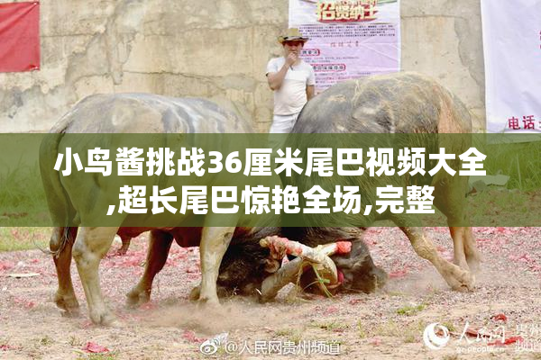 小鸟酱挑战36厘米尾巴视频大全,超长尾巴惊艳全场,完整