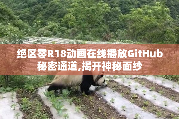 绝区零R18动画在线播放GitHub秘密通道,揭开神秘面纱