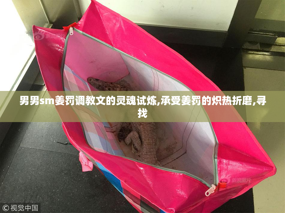 男男sm姜罚调教文的灵魂试炼,承受姜罚的炽热折磨,寻找